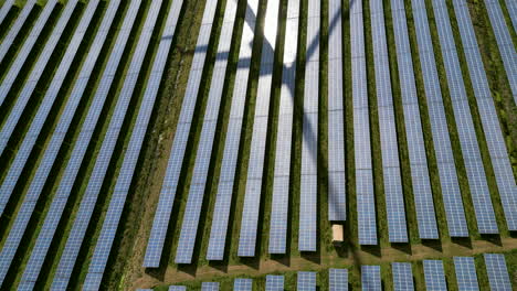 Vista-Aérea-De-Paneles-Solares-Con-Sombra-De-Una-Turbina-Eólica-Giratoria-1