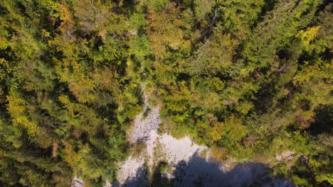 Aerial-tilt-up-view-of-woods,-mountains-and-alpine-road-in-autumn