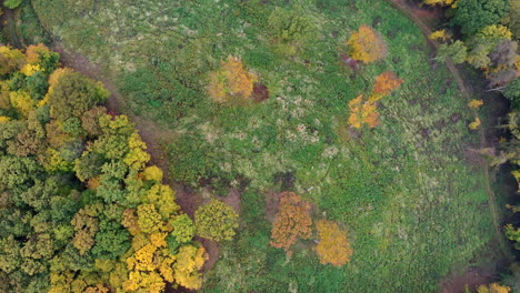 overhead colorful mixed autumn forest in hungary