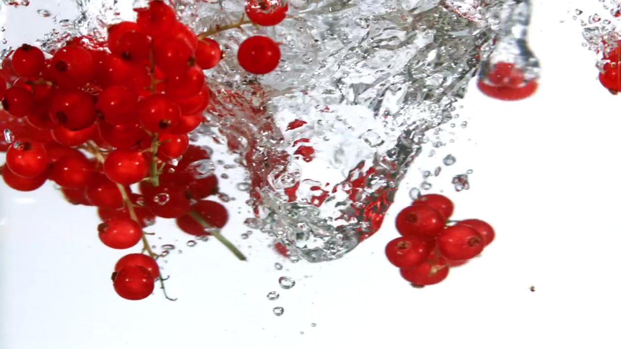 Frische rote Johannisbeeren spritzen in klares Wasser
