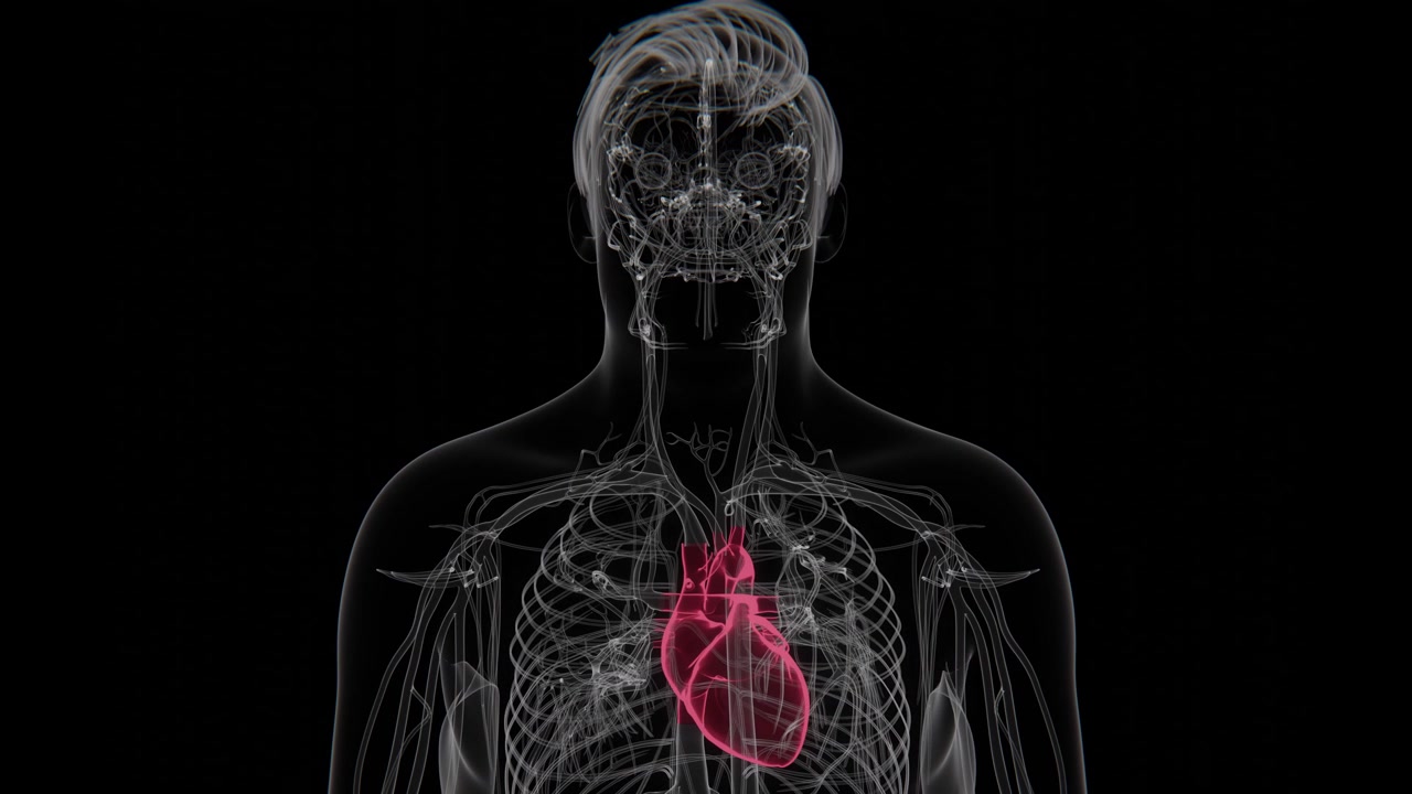 La dislipidemia è una condizione che comporta livelli anomali di colesterolo e trigliceridi nel sangue, che possono contribuire a rischi per la salute cardiovascolare in video 4K UHD