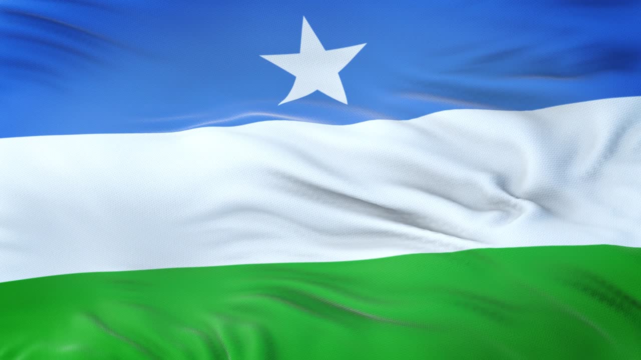 bandera de puntland agitando en el viento con textura de tela muy detallada. bucle sin costuras