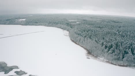 Aerial-view-of-a-frozen-lake-with-an-alluring-view-of-a-snowy-forest-with-clouded-weather