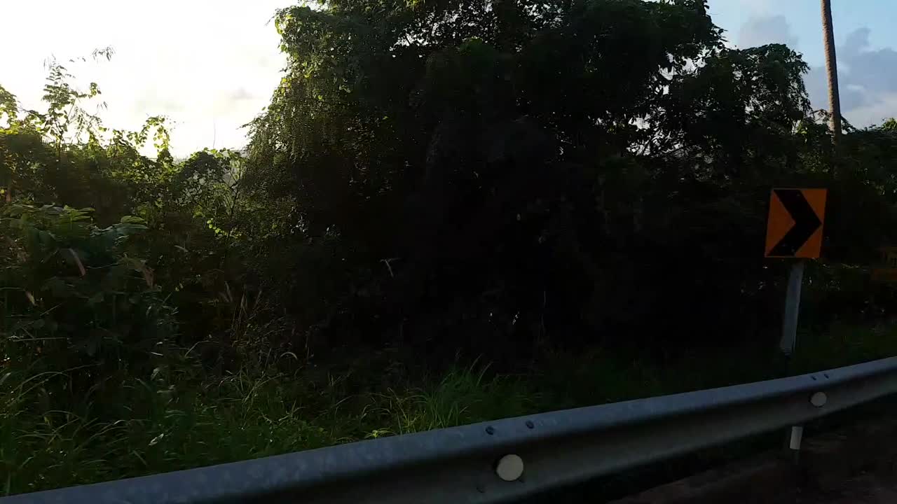 Stabilised video from motorbike driving through the jungle on a viewpoint road in golden hour, Koh Phangan