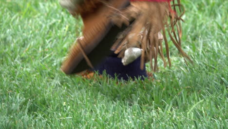 Shells on leggings of Native American dancer.