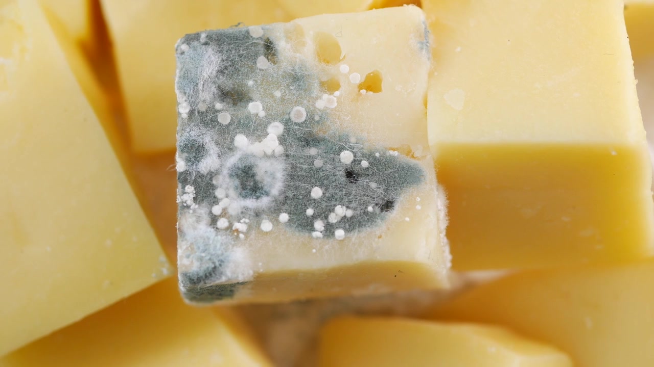 Primo piano di un cubetto di formaggio ammuffito tra formaggio fresco