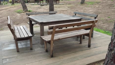 wooden picnic table and benches in a forest setting