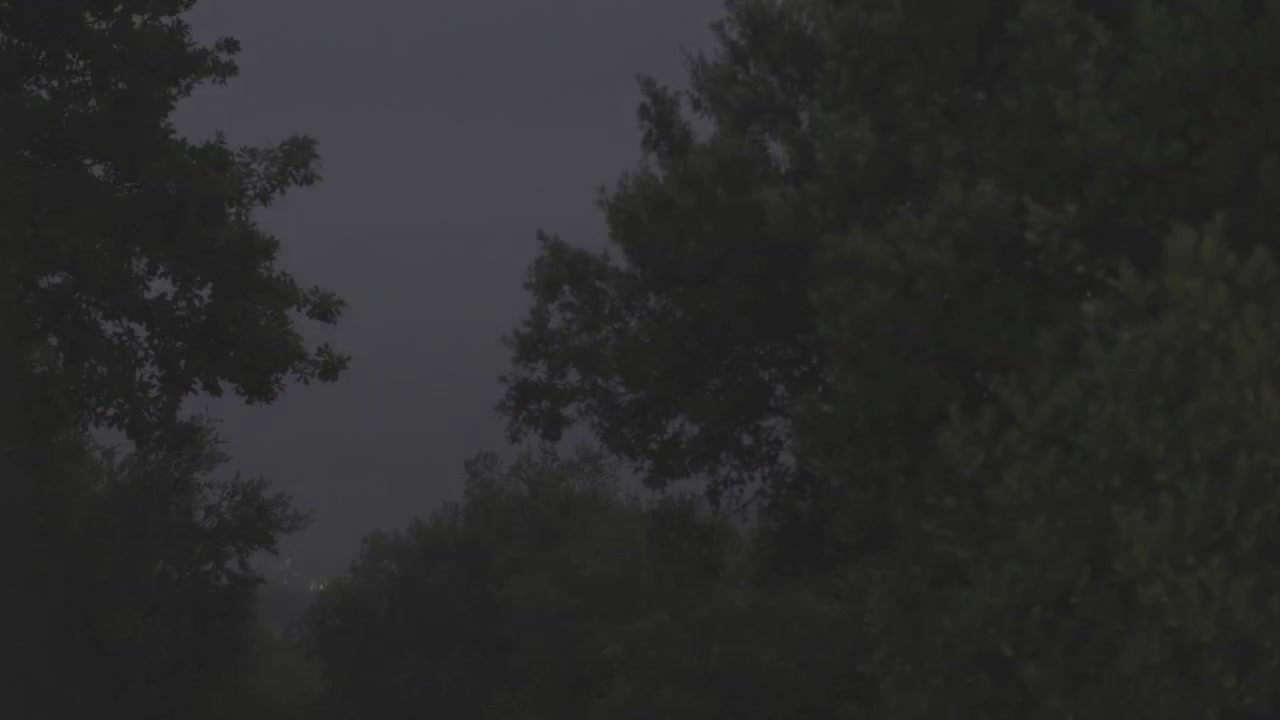 Fulmini illuminano una tempesta di pioggia notturna su una casa rurale lontana circondata da alberi della foresta