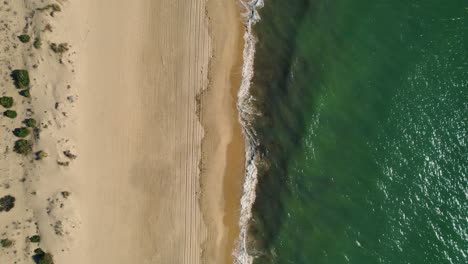 top down aerial view above contrasting golden sandy beach and emerald green ocean coastline
