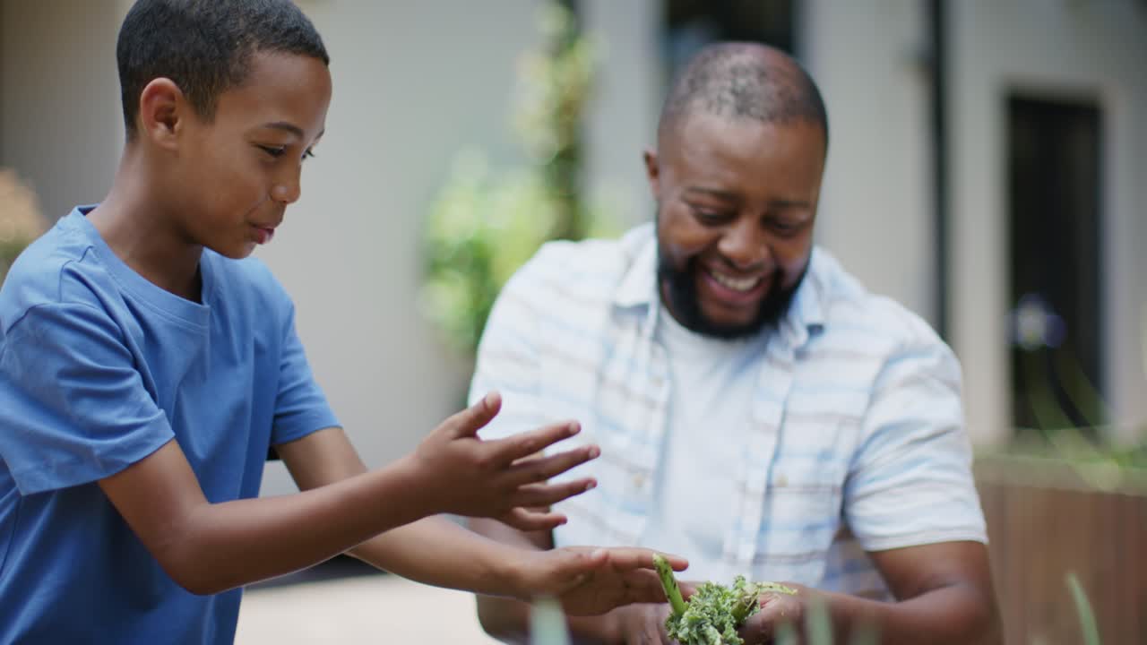 African American father and adolescent son sorting harvested greens on patio, father guiding son