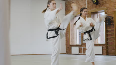 Two girls practising kicks and punches
