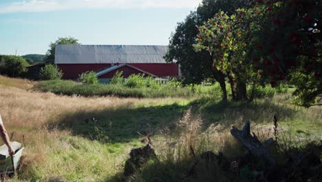 Man-Pushing-Wheelbarrow-With-Woods-In-The-Farm---Wide-Shot