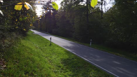 empty country road through forest in the evening light