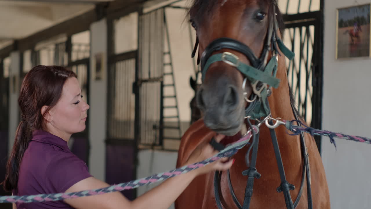 mujer arreglando un caballo en un establo