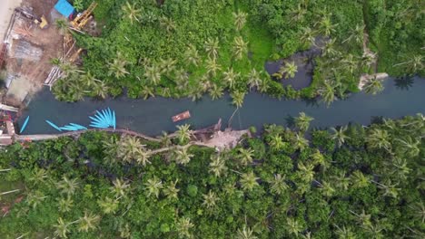 Bent-coconut-leaning-out-at-Maasin-river-palm-forest-in-Siargao,-Philippines