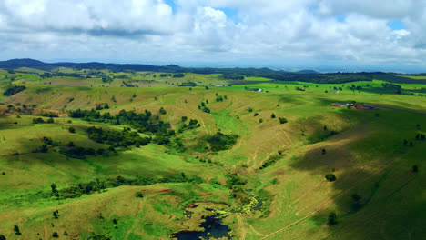 vibrant evergreen landscape in atherton tablelands during summer in queensland, australia