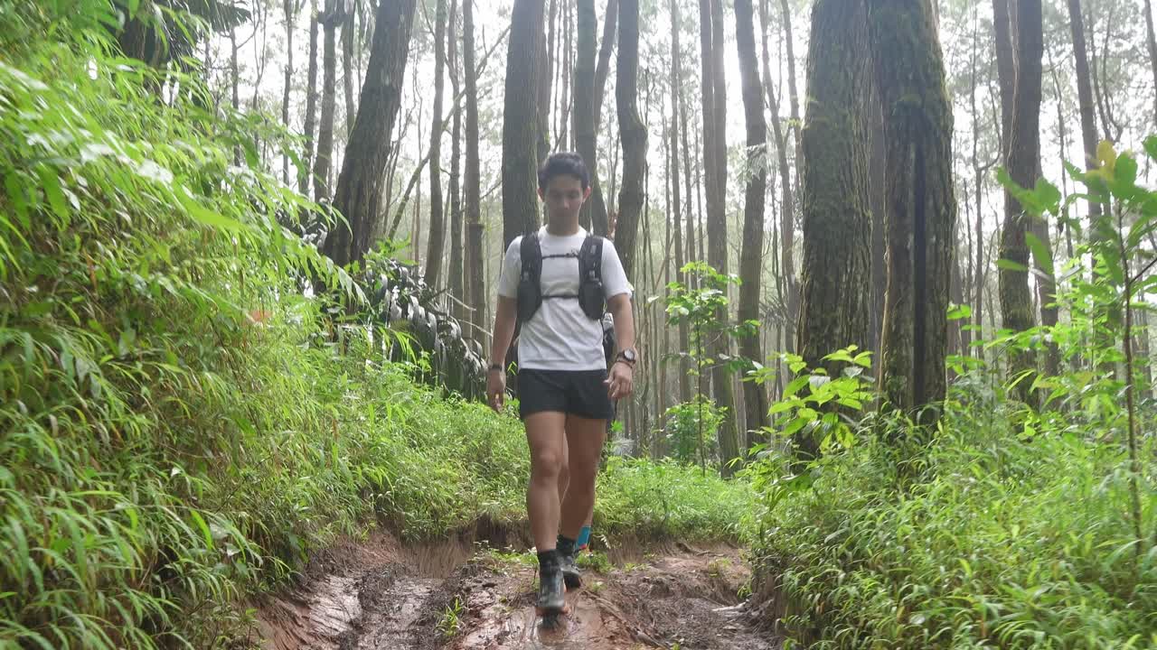 Runners in a Lush Forest Trail