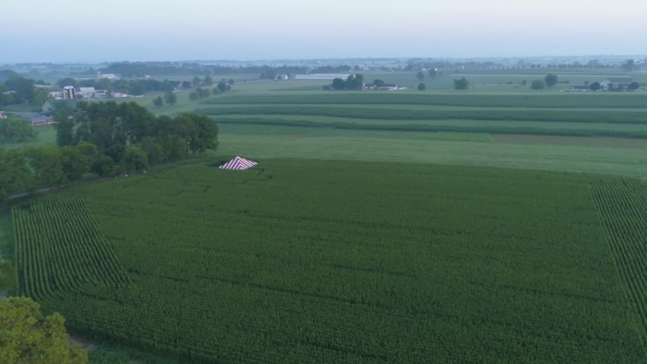 안개 낀 아침에 텐트가 있는 일출 옥수수 밭