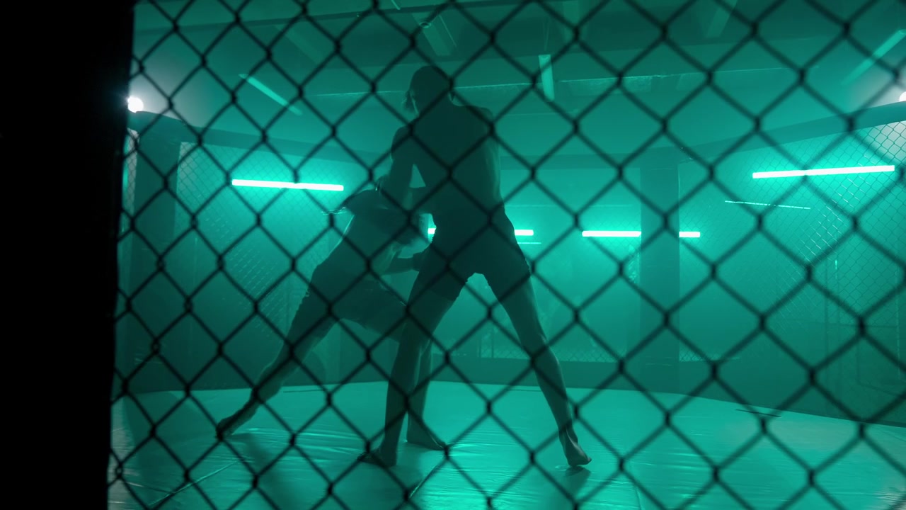 Silhouettes of Two Male Fighters Training in an MMA Cage with Green Lighting