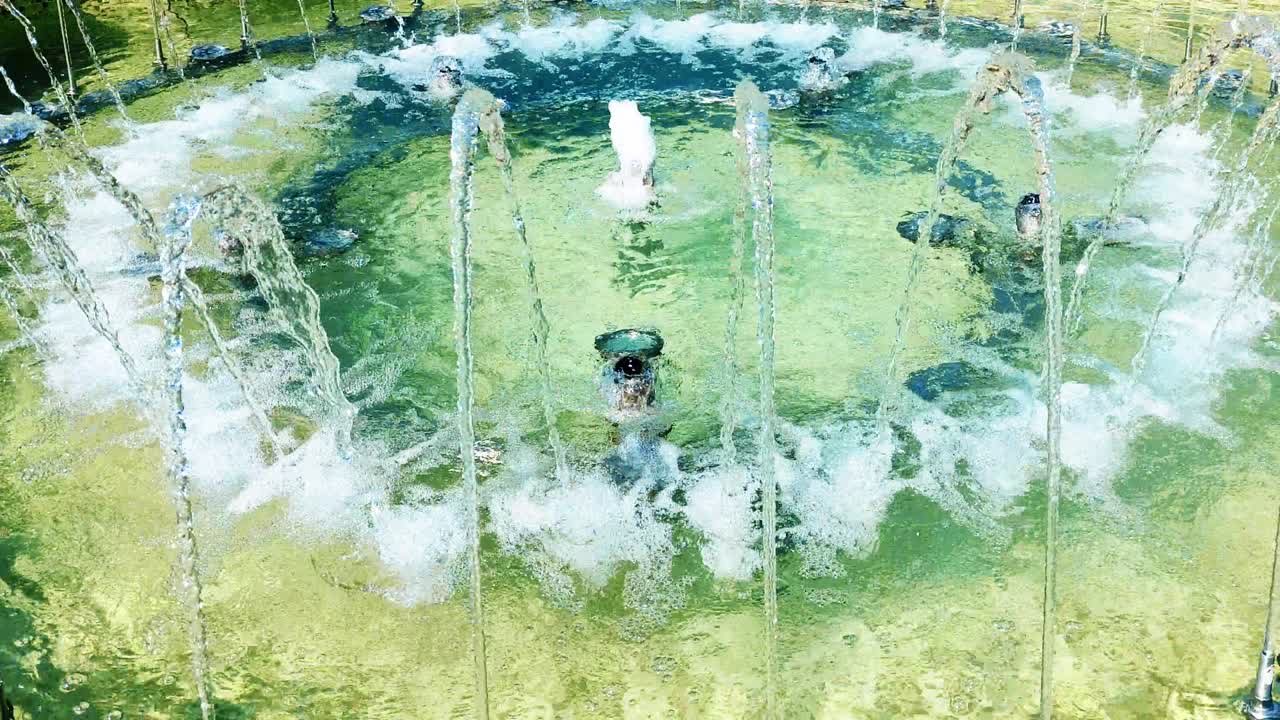 도시 공원의 원형 분수에서 제트기가 주사기로 때렸습니다.