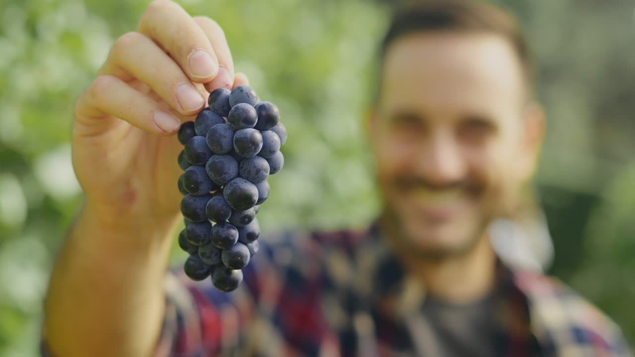 Man Holding a Bunch of Grapes