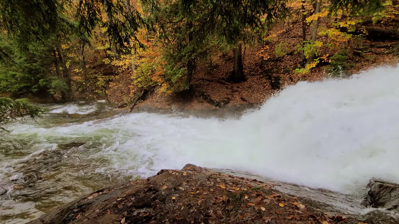 Un arroyo del bosque se precipita como una enorme cascada sobre las rocas entre los árboles.