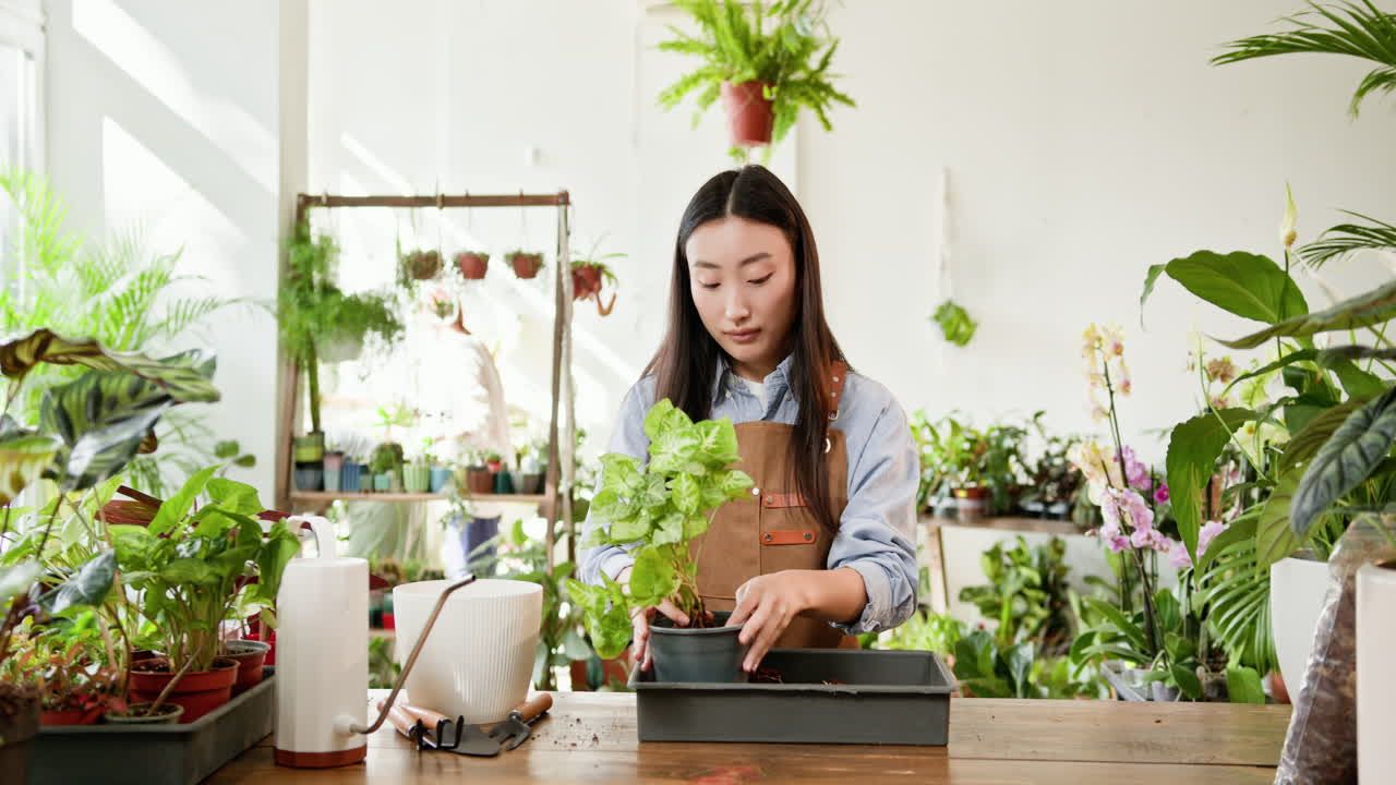 꽃 가게 에서 식물 을 재배치 하는 여자