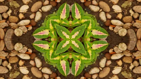 kaleidoscope