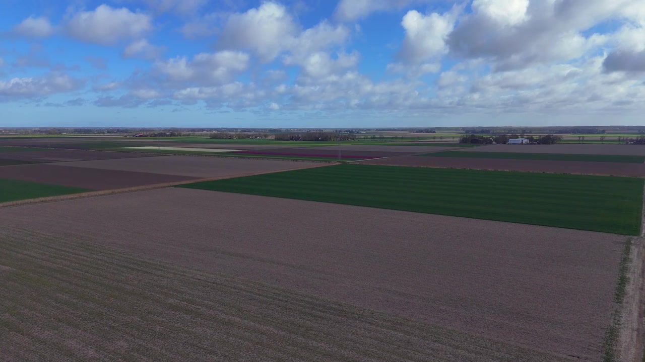 Drohnenaufnahme des niederländischen Dorfes Ens, Noordoostpolder, Flevoland, Niederlande. Landwirtschaftliche Flächen, Schwenk nach oben.