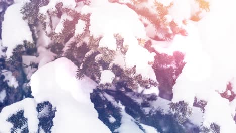 animación de puntos de luz sobre la nieve que cae y el paisaje de invierno