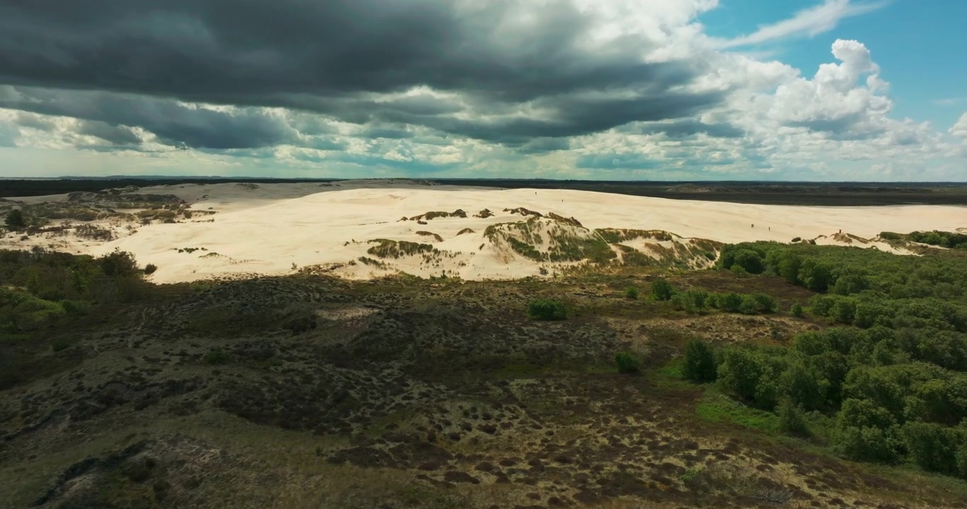 Droneflyvning fra kysthede til sandklitterne ved Råbjerg Mile.