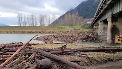 river debris and tree logs trunks piled up on a bridge after a flood