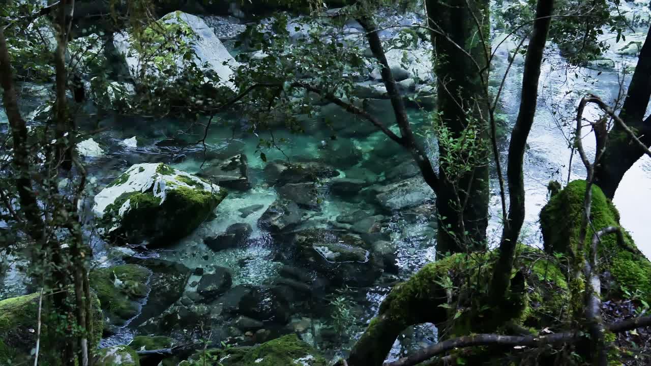 Ripresa dall'alto di un fiume limpido con rocce nella giungla della Nuova Zelanda, Milford Track