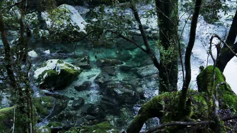 Toma-De-Arriba-Hacia-Abajo-De-Un-Río-Claro-Con-Rocas-En-La-Jungla-De-Nueva-Zelanda,-Pista-De-Milford