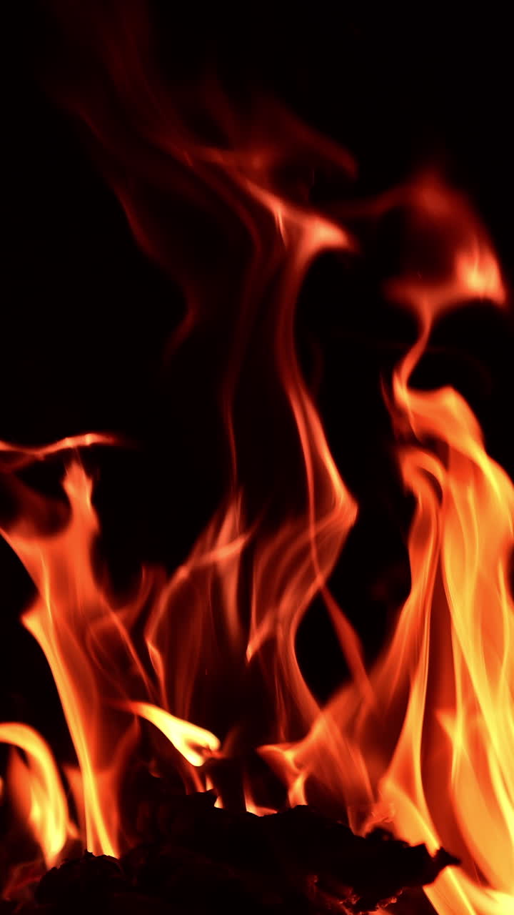 Wood burning in the campfire. Cozy warm view of a beautiful bonfire at night. Close up. Vertical video