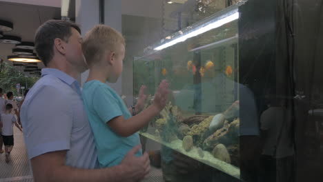 father and child watching fish in shop-window aquarium