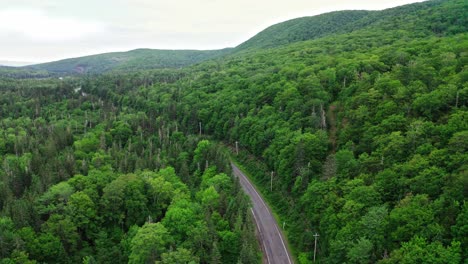 drone of summer green trees over rural road with no cars and hills