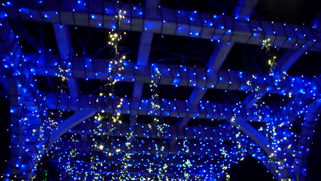 blue twinkling christmas lights above