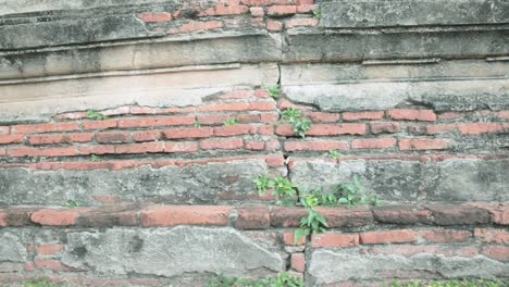 close up shot of the brick work of ayutthaya in thailand