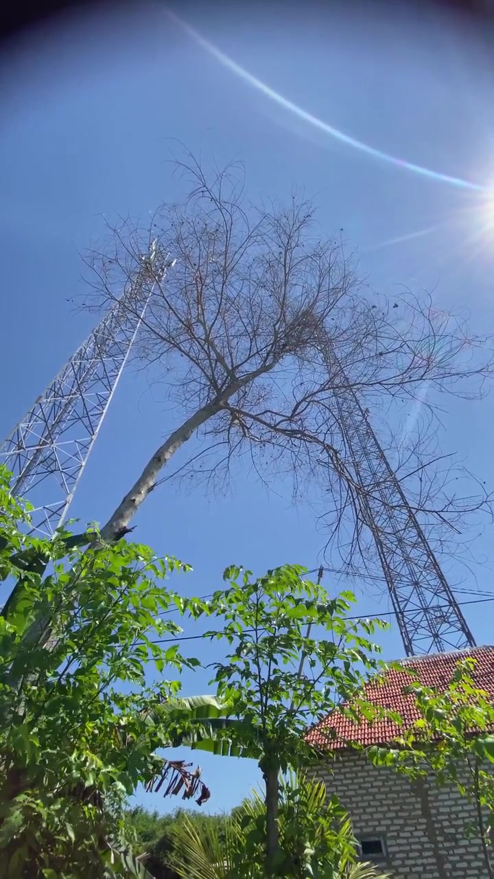 Communication Towers and Bare Tree Against a Clear Blue Sky with Sun Flare