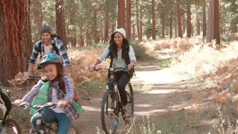 Padres-Y-Dos-Niños-En-Bicicleta-Por-El-Bosque-Pasan-Y-Salen-Del-Plano.