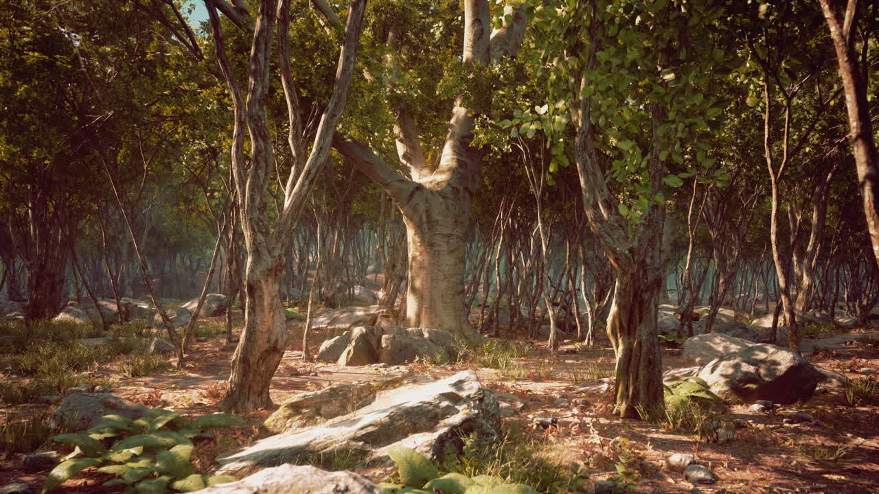 profunda jungla tropical en la oscuridad