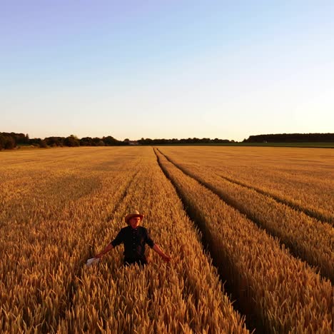 farmer in farmland at sunset. male specialist in straw hat walking on golden field and examining the ripeness of plants in the evening.