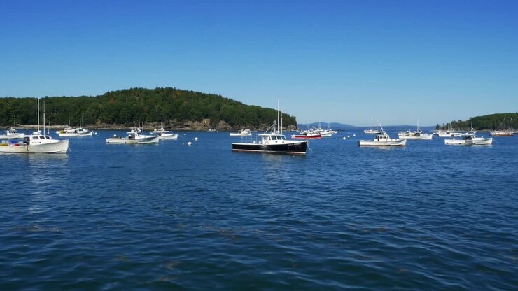 barcos de pesca amarrados en las soleadas aguas azules del puerto de bar con exuberantes colinas verdes en el fondo