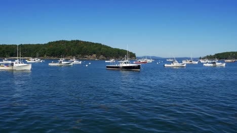 fishing boats moored in sunny, blue waters of bar harbor with lush green hills in background