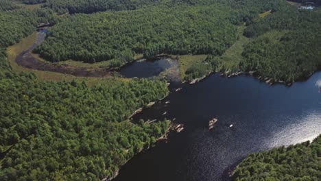 push in drone view of a remote lake surrounded by woods and trees hb11