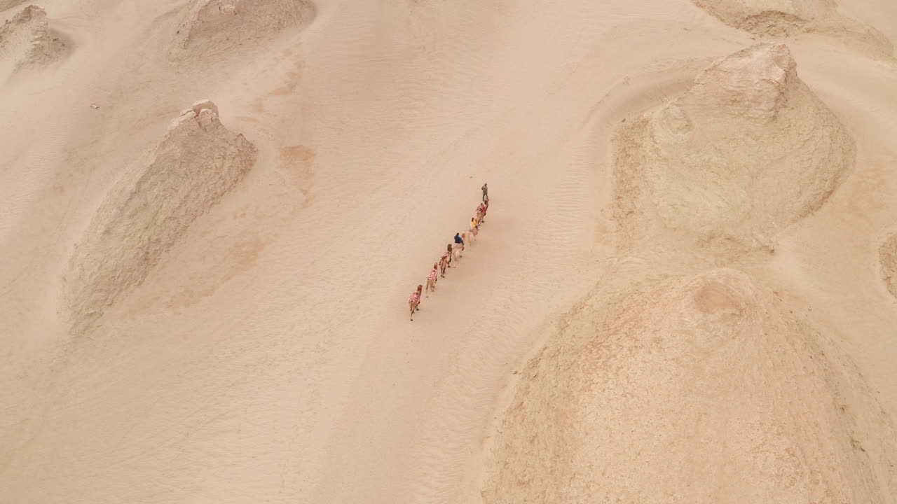 바람 침식 지형 풍경, 야드랑 지형의 낙타 부대.