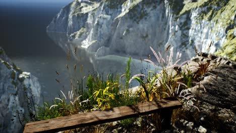 fresh grass at big rocky cliff in ocean