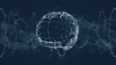 animación del cerebro humano y la cadena de adn girando sobre un fondo oscuro