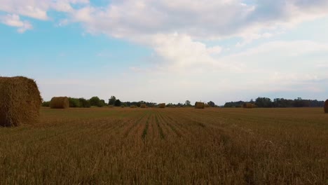 el campo con rollos de heno